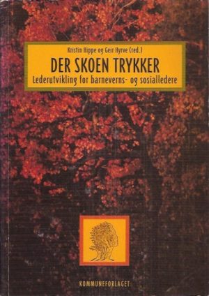 Der skoen trykker. Lederutvikling for barneverns- og sosialledere