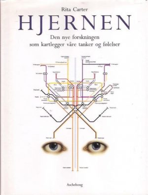 Hjernen