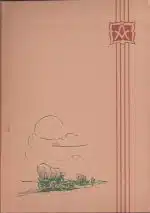 I de dage - fortelling om norske nykommere i Amerika