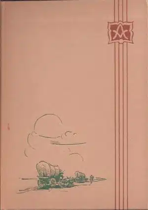 I de dage - fortelling om norske nykommere i Amerika