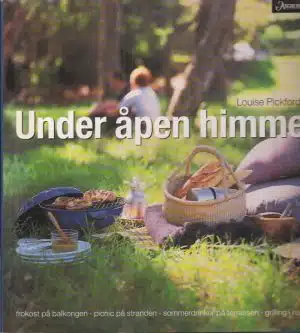Under åpen himmel
