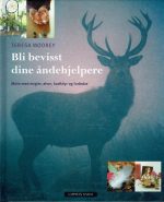 Bli bevisst dine åndehjelpere. Møte med angler, alver, kraftdyr og forfedre