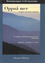 Kroese, Andries j.: Oppnå mer med mindre stress