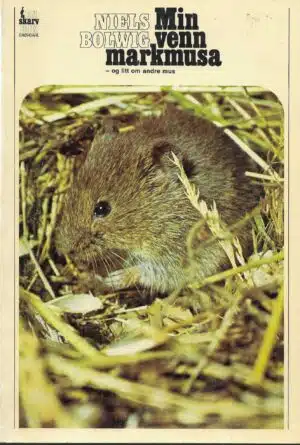 Min venn markmusa - og litt om andre mus