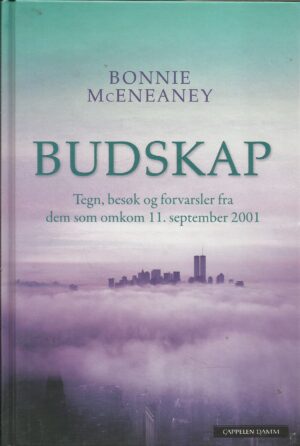 Budskap. Tegn, besøk og forvarsler fra dem som omkom 11. september 2001