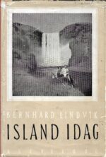 Lindvik, Bernhard: Island i dag