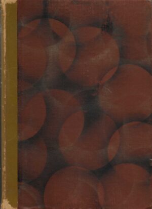 Den norske turistforenings aarbok 1920