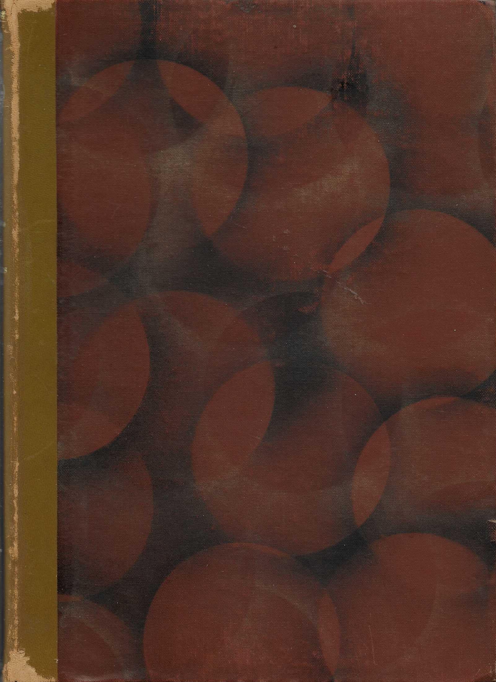 Den norske turistforenings aarbok 1920