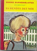 Bøgenæs, Evi: Så hendte det noe