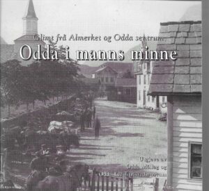 Odda i manns minne 1993. Nr. 6
