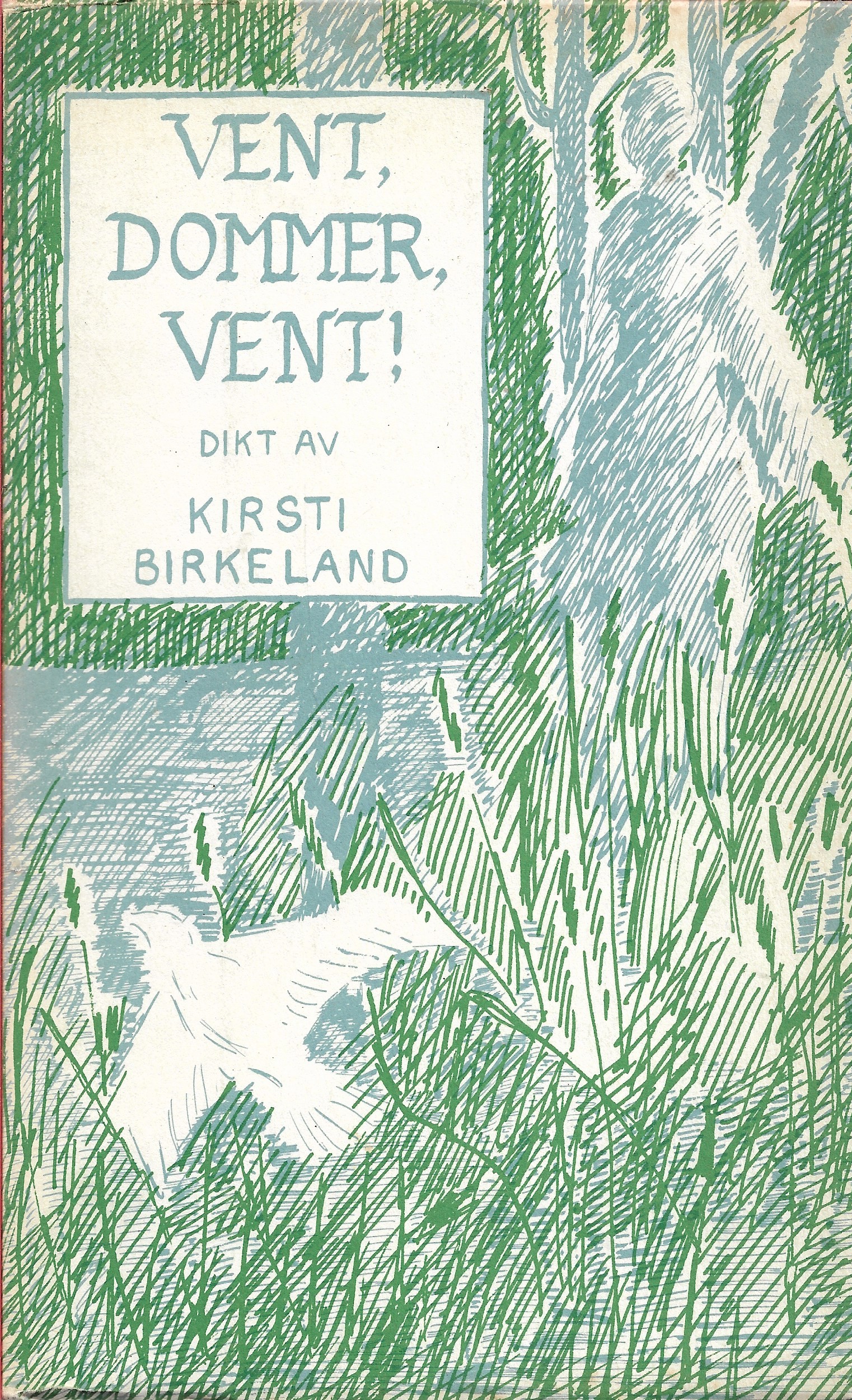 Birkeland, Kirsti: Vent, dommer, Vent!
